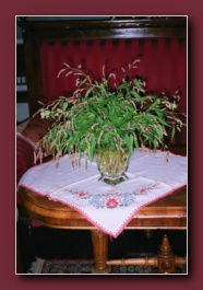 Kliknite za pove�avo slike